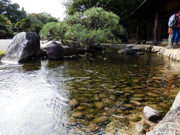 PA250112.JPG